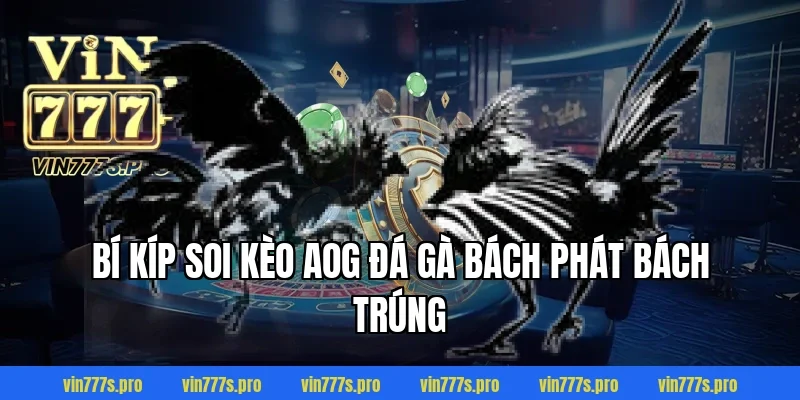 AOG ĐÁ GÀ – CUỘC CHƠI ĐỈNH CAO CỦA NHỮNG CHIẾN KÊ BẤT BẠI 5 Bí kíp soi kèo AOG đá gà bách phát bách trúng