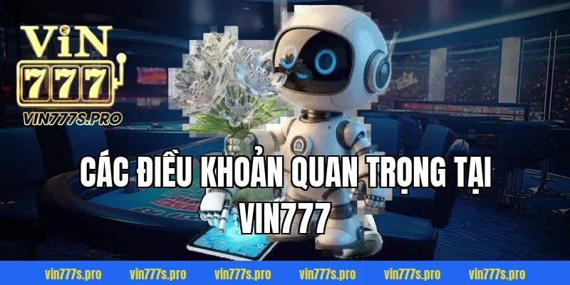 Các điều khoản quan trọng tại VIN777
