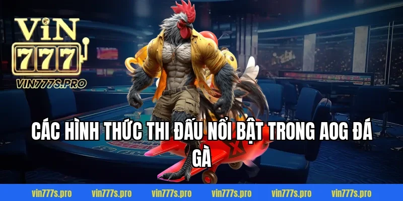 AOG ĐÁ GÀ – CUỘC CHƠI ĐỈNH CAO CỦA NHỮNG CHIẾN KÊ BẤT BẠI 3 Các hình thức thi đấu nổi bật trong AOG đá gà