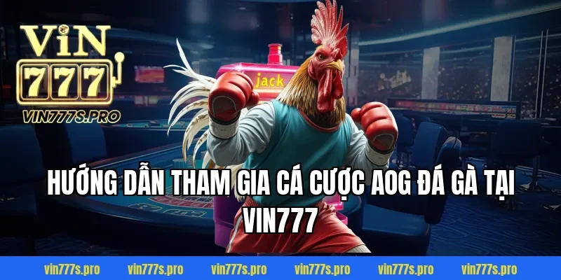 AOG ĐÁ GÀ – CUỘC CHƠI ĐỈNH CAO CỦA NHỮNG CHIẾN KÊ BẤT BẠI 4 Hướng dẫn tham gia cá cược AOG đá gà tại VIN777