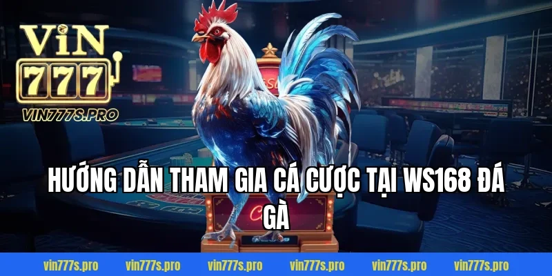 WS168 ĐÁ GÀ VIN777 - SÂN CHƠI DÀNH NGƯỜI ĐAM MÊ CÁ CƯỢC 4 Hướng dẫn tham gia cá cược tại WS168 đá gà