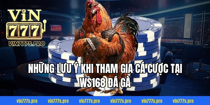 WS168 ĐÁ GÀ VIN777 - SÂN CHƠI DÀNH NGƯỜI ĐAM MÊ CÁ CƯỢC 6 Những lưu ý khi tham gia cá cược tại WS168 đá gà