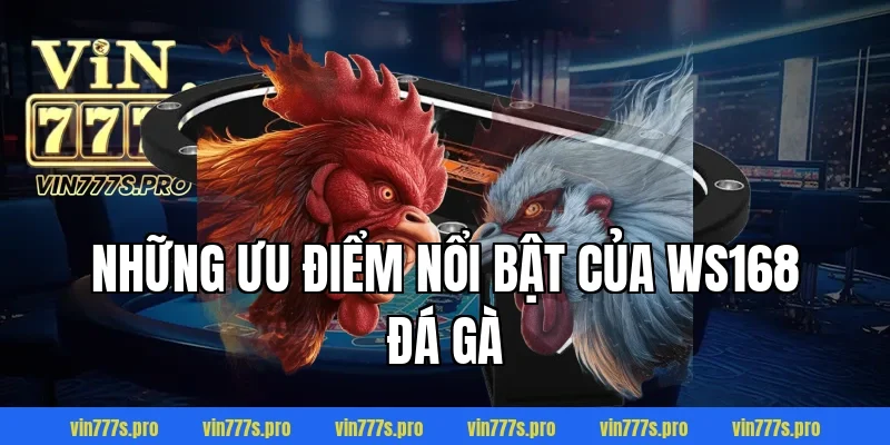 WS168 ĐÁ GÀ VIN777 - SÂN CHƠI DÀNH NGƯỜI ĐAM MÊ CÁ CƯỢC 3 Những ưu điểm nổi bật của WS168 đá gà
