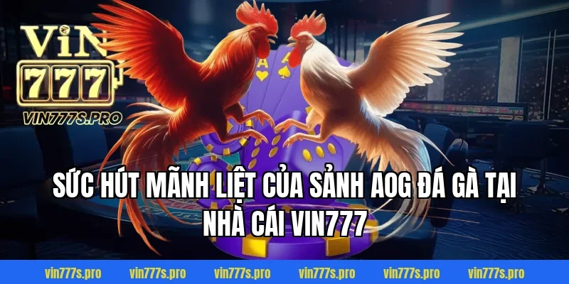 AOG ĐÁ GÀ – CUỘC CHƠI ĐỈNH CAO CỦA NHỮNG CHIẾN KÊ BẤT BẠI 2 Sức hút mãnh liệt của sảnh AOG đá gà tại nhà cái VIN777